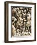 The Massacre of Innocents, Detail from Pergamon or Pulpit-Nicola Pisano-Framed Giclee Print