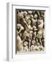 The Massacre of Innocents, Detail from Pergamon or Pulpit-Nicola Pisano-Framed Giclee Print