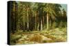 The Mast-Tree Grove, Study-Ivan Ivanovitch Shishkin-Stretched Canvas