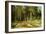 The Mast-Tree Grove, Study-Ivan Ivanovitch Shishkin-Framed Giclee Print