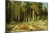 The Mast-Tree Grove, Study-Ivan Ivanovitch Shishkin-Mounted Giclee Print