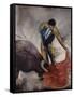 The Matador-Joshua Schicker-Framed Stretched Canvas