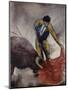 The Matador-Joshua Schicker-Mounted Premium Giclee Print