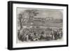 The Match Between the All-England Eleven and Twenty-Two of the New South Wales Cricketers-null-Framed Giclee Print