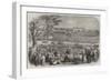 The Match Between the All-England Eleven and Twenty-Two of the New South Wales Cricketers-null-Framed Giclee Print