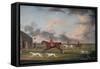 The Match Between the Hounds at Newmarket, 1762-Francis Sartorius-Framed Stretched Canvas