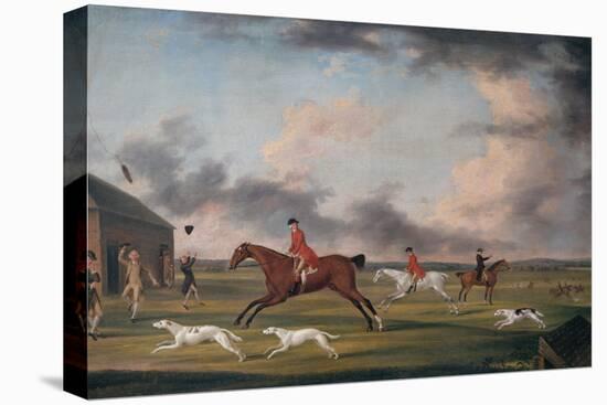 The Match Between the Hounds at Newmarket, 1762-Francis Sartorius-Stretched Canvas