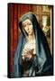 The Mater Dolorosa, C.1509-1511-Colijn de Coter-Framed Stretched Canvas