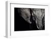 The Matriarch-Piet Flour-Framed Premium Photographic Print