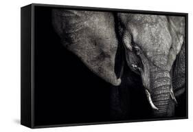 The Matriarch-Piet Flour-Framed Stretched Canvas