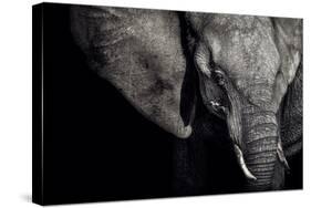 The Matriarch-Piet Flour-Stretched Canvas