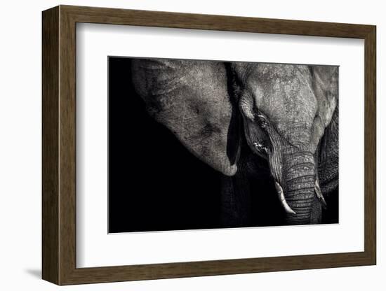 The Matriarch-Piet Flour-Framed Photographic Print