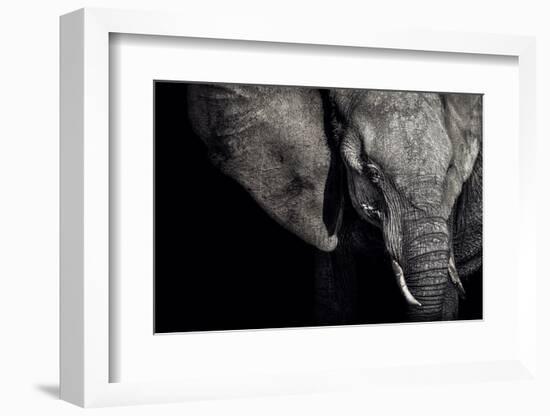 The Matriarch-Piet Flour-Framed Photographic Print