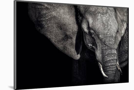 The Matriarch-Piet Flour-Mounted Photographic Print