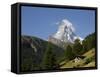 The Matterhorn Near Zermatt, Valais, Swiss Alps, Switzerland, Europe-Hans Peter Merten-Framed Stretched Canvas