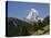 The Matterhorn Near Zermatt, Valais, Swiss Alps, Switzerland, Europe-Hans Peter Merten-Stretched Canvas