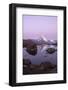 The Matterhorn Reflected in the Stellisee at Dusk-Roberto Moiola-Framed Photographic Print