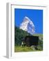 The Matterhorn, Zermatt, Valais, Switzerland, Europe-Ruth Tomlinson-Framed Photographic Print