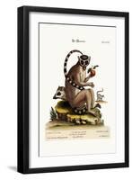The Maucauco, 1749-73-George Edwards-Framed Giclee Print
