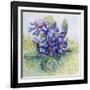 The Mauve Primrose 2000-Joan Thewsey-Framed Giclee Print