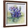 The Mauve Primrose 2000-Joan Thewsey-Framed Giclee Print