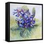 The Mauve Primrose 2000-Joan Thewsey-Framed Stretched Canvas