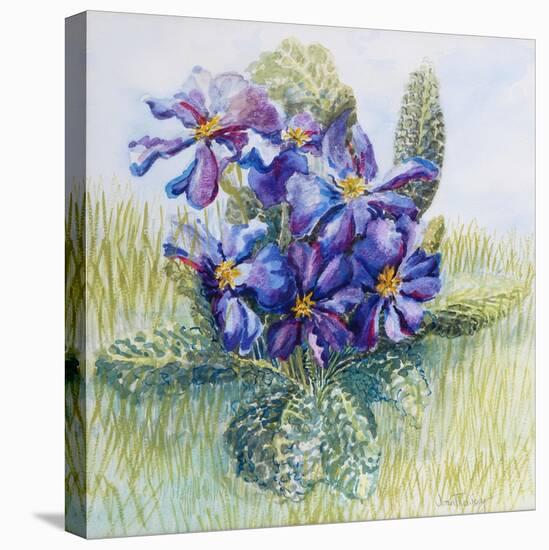 The Mauve Primrose 2000-Joan Thewsey-Stretched Canvas