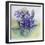 The Mauve Primrose 2000-Joan Thewsey-Framed Giclee Print