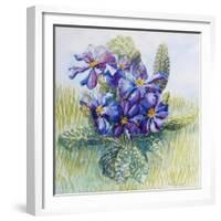 The Mauve Primrose 2000-Joan Thewsey-Framed Giclee Print