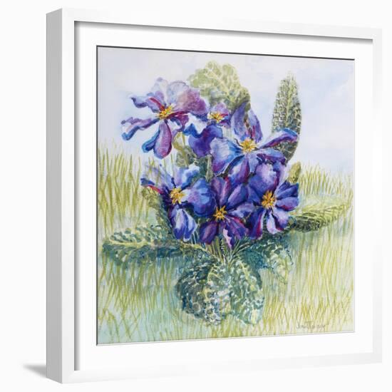 The Mauve Primrose 2000-Joan Thewsey-Framed Giclee Print