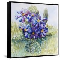 The Mauve Primrose 2000-Joan Thewsey-Framed Stretched Canvas