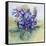 The Mauve Primrose 2000-Joan Thewsey-Framed Stretched Canvas