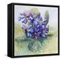 The Mauve Primrose 2000-Joan Thewsey-Framed Stretched Canvas