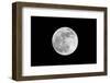 The May 2012 Òsupermoon,Ó Photographed from Los Angeles, California-Neil Losin-Framed Photographic Print