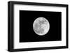 The May 2012 Òsupermoon,Ó Photographed from Los Angeles, California-Neil Losin-Framed Photographic Print