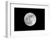 The May 2012 Òsupermoon,Ó Photographed from Los Angeles, California-Neil Losin-Framed Photographic Print