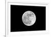 The May 2012 Òsupermoon,Ó Photographed from Los Angeles, California-Neil Losin-Framed Photographic Print