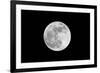 The May 2012 Òsupermoon,Ó Photographed from Los Angeles, California-Neil Losin-Framed Photographic Print