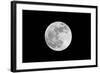 The May 2012 Òsupermoon,Ó Photographed from Los Angeles, California-Neil Losin-Framed Photographic Print