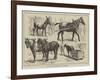 The May Horse Procession at Newcastle-null-Framed Giclee Print