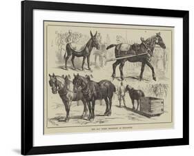 The May Horse Procession at Newcastle-null-Framed Giclee Print