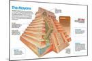 Wood Mount