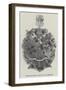 The Mayoral Badge of Carlisle-null-Framed Giclee Print