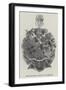 The Mayoral Badge of Carlisle-null-Framed Giclee Print
