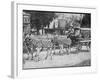 The Mazawattee Tea Zebra Cart-null-Framed Photographic Print