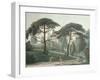 The Maze or Belvedere of the Jardin Des Plantes in Paris, Engraved by Nicolas Marie Joseph Chapuy-Antoine Pierre Mongin-Framed Giclee Print