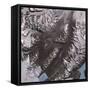 The Mcmurdo Dry Valleys West of Mcmurdo Sound, Antarctica-null-Framed Stretched Canvas