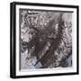 The Mcmurdo Dry Valleys West of Mcmurdo Sound, Antarctica-null-Framed Photographic Print