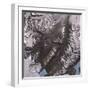 The Mcmurdo Dry Valleys West of Mcmurdo Sound, Antarctica-null-Framed Photographic Print