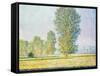 The Meadow of Limetz, 1888 by Claude Monet-Claude Monet-Framed Stretched Canvas